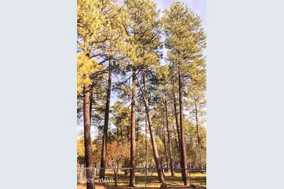 6673 Forest Avenue, Lakeside, AZ 85929 - Photo 37