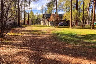 6673 Forest Ave, Lakeside, AZ 85929 - Photo 33