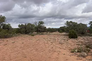 4129 Apache Rd, Snowflake, AZ 85937 - Photo 45