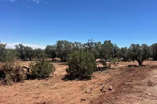 4129 Apache Rd, Snowflake, AZ 85937 - Photo 47