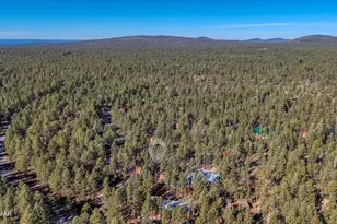 7185 Moon Creek Cir, Pinetop, AZ 85935 - Photo 37