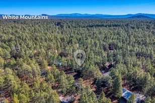 7185 Moon Creek Cir, Pinetop, AZ 85935 - Photo 35