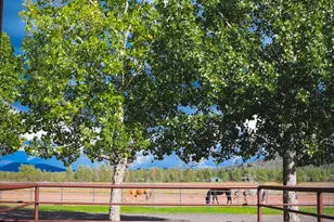 422B Sponseller Siding Rd, Lakeside, AZ 85929 - Photo 53