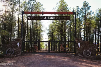 422B Sponseller Siding Road, Lakeside, AZ 85929 - Photo 3