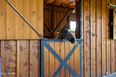 422B Sponseller Siding Road, Lakeside, AZ 85929 - Photo 47