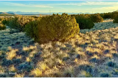 136 Zuni Drive, Concho, AZ 85924 - Photo 21