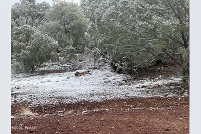 1847 Rocky Bottom Place, Show Low, AZ 85901 - Photo 3
