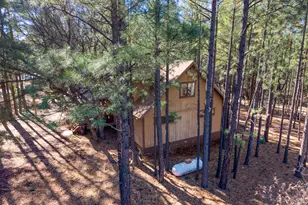 146 Deer Run Rd, Lakeside, AZ 85929 - Photo 25