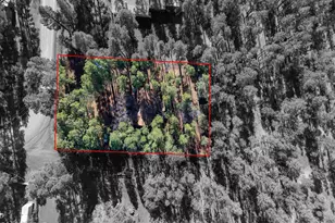 146 Deer Run Rd, Lakeside, AZ 85929 - Photo 29