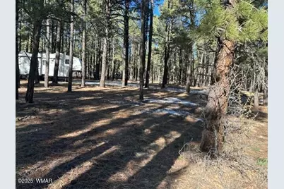 Tbd Cr N2121, Alpine, AZ 85920 - Photo 5