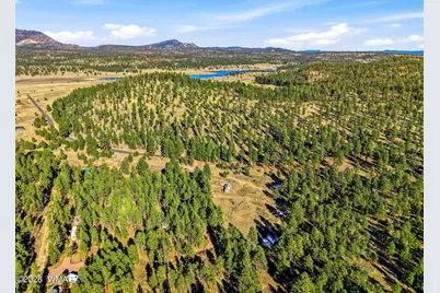 Tbd Cr N2121, Alpine, AZ 85920 - Photo 15