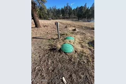 Tbd Cr N2121, Alpine, AZ 85920 - Photo 7