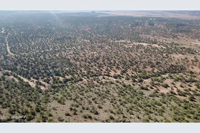 9591 Privette Trail, Snowflake, AZ 85937 - Photo 3