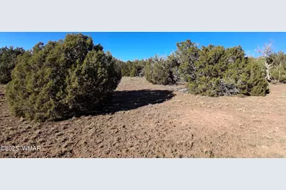 Tbd N8715, Concho, AZ 85924 - Photo 5