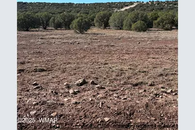 Tbd N8715, Concho, AZ 85924 - Photo 3