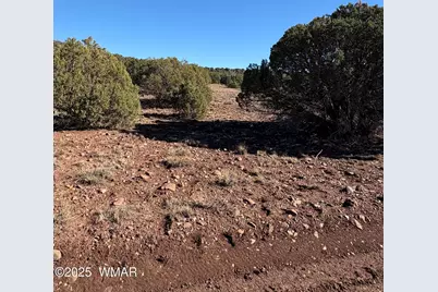 5 N8715, Concho, AZ 85924 - Photo 5