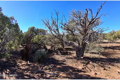 Tbd N8716, Concho, AZ 85924 - Photo 3