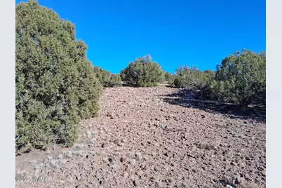 Sw N8716, Concho, AZ 85924 - Photo 5