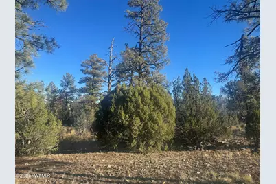 2060 E Bluff Ridge Road, Show Low, AZ 85901 - Photo 3
