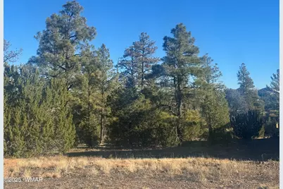 2060 E Bluff Ridge Road, Show Low, AZ 85901 - Photo 5