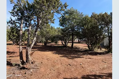 10 N3590, Vernon, AZ 85940 - Photo 7