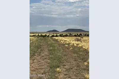 53C County Road 3373, Concho, AZ 85924 - Photo 3