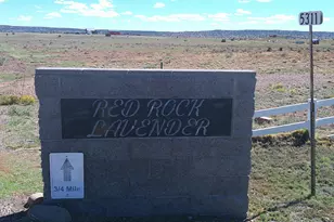 Tbd Concho Park Estates Unit 583, Concho, AZ 85924 - Photo 1