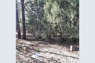 3321 W Mariposa Lane, Show Low, AZ 85901 - Photo 1