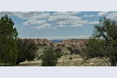 228 County Rd N9328, Concho, AZ 85924 - Photo 1