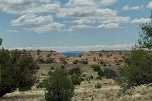 228 County Rd N9328, Concho, AZ 85924 - Photo 1