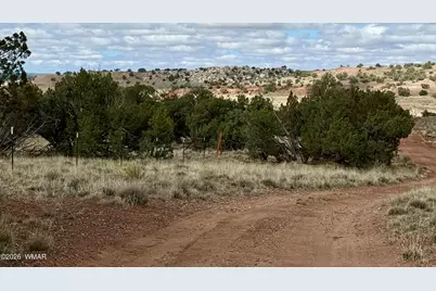 228 County Rd N9328, Concho, AZ 85924 - Photo 5