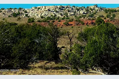 228 County Rd N9328, Concho, AZ 85924 - Photo 9