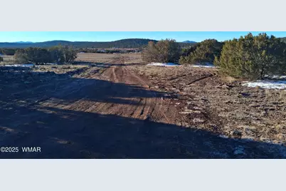 286 County Road, Concho, AZ 85924 - Photo 3