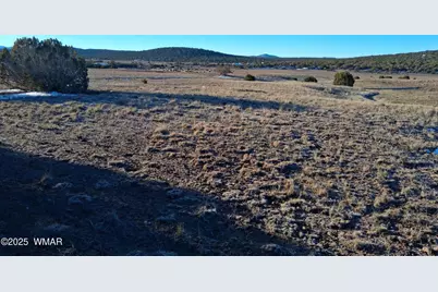 286 County Road, Concho, AZ 85924 - Photo 9