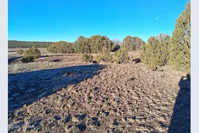 286 County Road, Concho, AZ 85924 - Photo 5