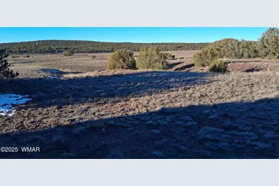 286 County Road, Concho, AZ 85924 - Photo 19