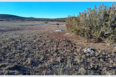 286 County Road, Concho, AZ 85924 - Photo 13