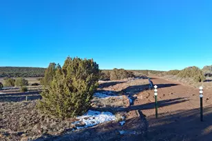 286 County Rd, Concho, AZ 85924 - Photo 1