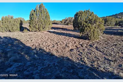 286 County Road, Concho, AZ 85924 - Photo 17