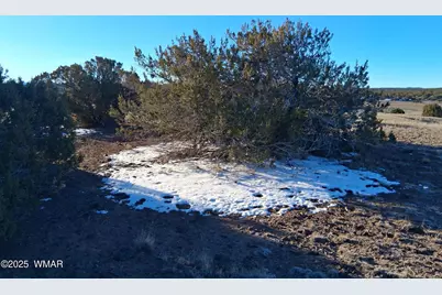 286 County Road, Concho, AZ 85924 - Photo 7