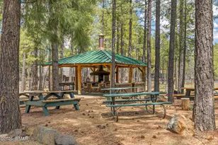 5776 Spruce Cir, Pinetop, AZ 85935 - Photo 39