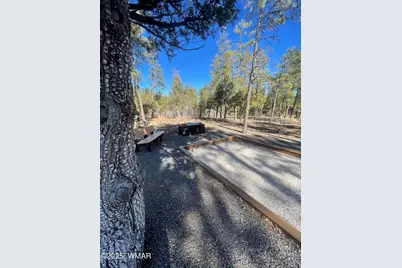 2321 E Quarter Horse Way, Show Low, AZ 85901 - Photo 17
