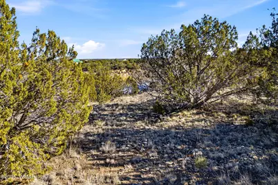 1955 Daggs Circle, Show Low, AZ 85901 - Photo 13