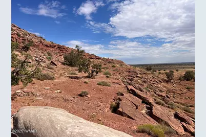 2345 W Ridgeview Ranch Drive, Snowflake, AZ 85937 - Photo 9