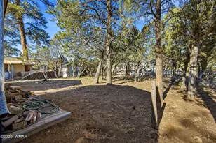 2060 Wilderness Dr, Overgaard, AZ 85928 - Photo 21