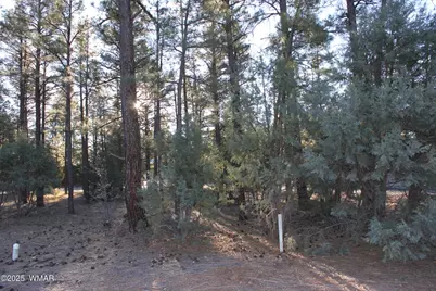 3300 W Mariposa Lane, Show Low, AZ 85901 - Photo 11