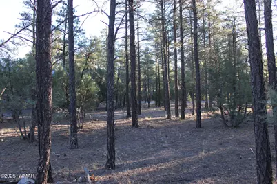 3300 W Mariposa Lane, Show Low, AZ 85901 - Photo 13