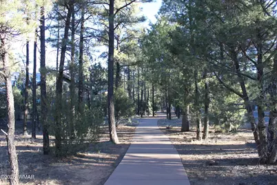 3300 W Mariposa Lane, Show Low, AZ 85901 - Photo 17