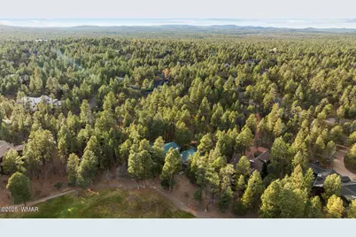 961 Ginnala Lane, Show Low, AZ 85901 - Photo 85