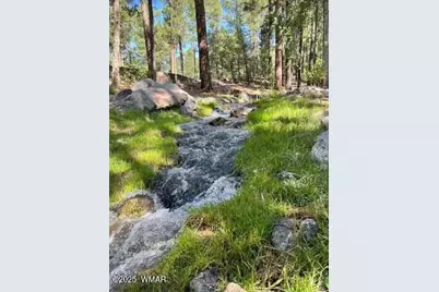 961 Ginnala Lane, Show Low, AZ 85901 - Photo 79